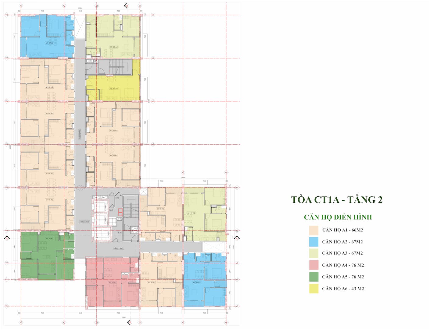 CT1A-T2