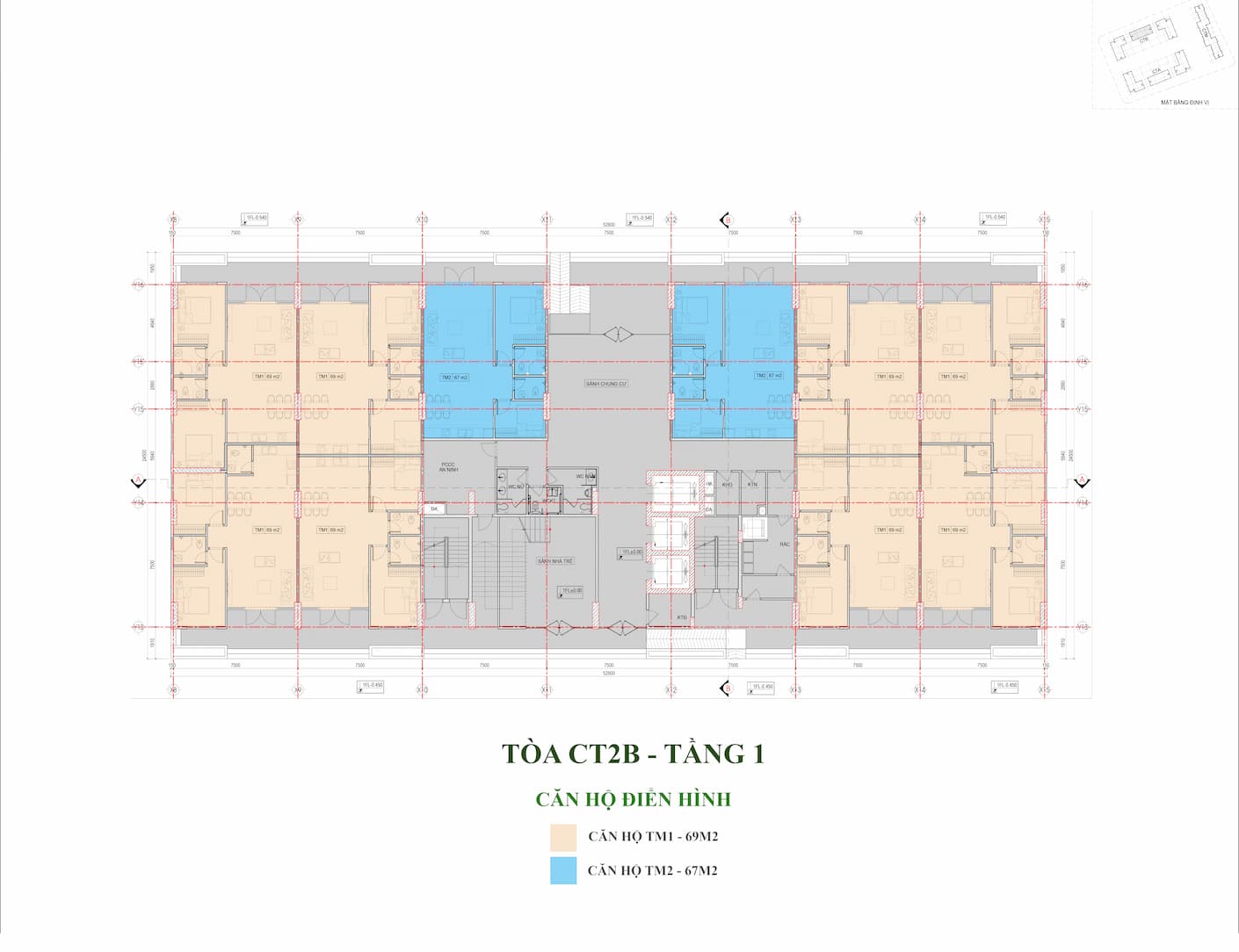 CT2B-T1