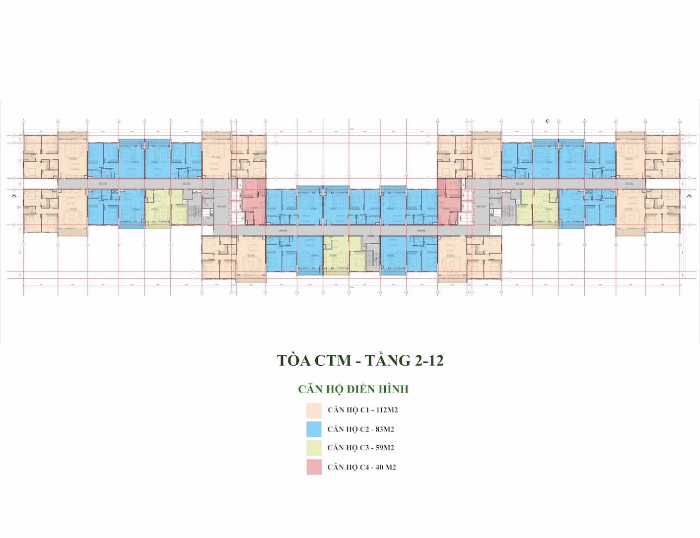 CTM-T2-12